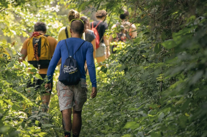 groep mensen wandelt door groen bos